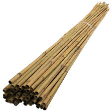 Suregreen bamboo canes for sale  BRAINTREE