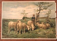 1902 antique sheep for sale  Bennington