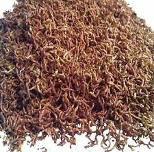 Bloodworms freeze dried for sale  Fresno