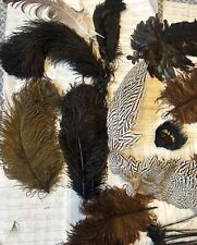 Collection vintage feathers for sale  DROMORE