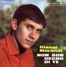 Giri gianni morandi usato  Piacenza