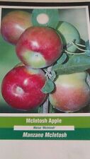Mcintosh apple fruit for sale  Ben Wheeler