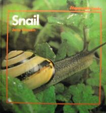 Snail for sale  Orem