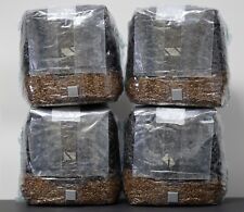 Usado, MycoHaus paquete de 4 todo en uno 5 libras sustrato de hongo y centeno compost kit de cultivo de desove segunda mano  Embacar hacia Mexico