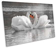 Swans pair love for sale  UK