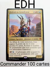 Mtg commander deck d'occasion  Rians