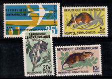 Repubblica centrafricana 1966 usato  Bitonto