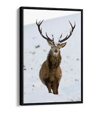 Stag snowy landscape for sale  Shipping to Ireland