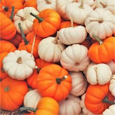fall mini burlap pumpkins for sale  Pittsburgh