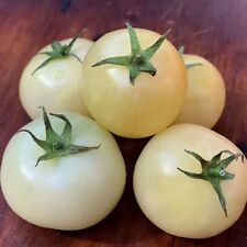 Snow white tomato for sale  Seymour
