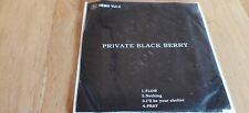 PRIVATE BLACK BERRY - DEMO Vol.2 [Limited CD-R] (Visual kei) comprar usado  Enviando para Brazil