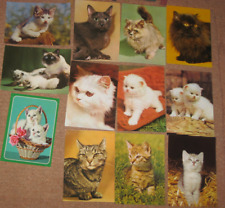 Motivkarten ansichtskarten kat gebraucht kaufen  Oppach