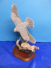 peregrine falcon for sale  SWINDON
