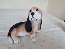 Castagna beagle dog for sale  MANCHESTER