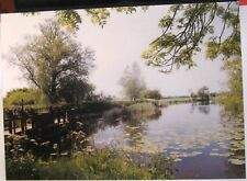 England dorset river for sale  NEWENT