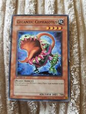 1x YuGiOh TCG Gigantic Cephalotus CSOC EN025 Trading Card Game, used for sale  Shipping to South Africa