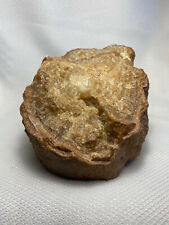 Vtg petrified crystalized for sale  White Marsh