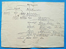 Hh83 albero genealogico usato  Italia