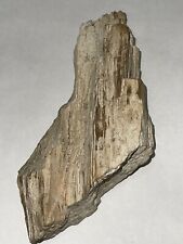 Natural texas petrified for sale  Gainesville