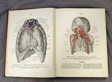Libro Raro 1940 Anatomía Humana Atlas Medicina Libro de Texto Libro Médico URSS Rusa segunda mano  Embacar hacia Argentina