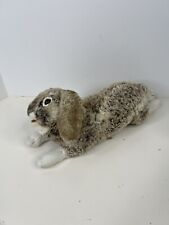 Holland lop rabbit for sale  Bishop