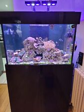 Marine fish tank for sale  DERBY