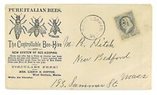 Italian bee bee for sale  Palmer