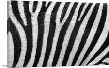 Artcanvas zebra stripe for sale  Niles