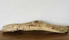 Driftwood branch sea for sale  BRAINTREE