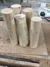 Silver birch wood for sale  NOTTINGHAM
