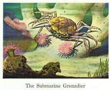 TRAVELERS INSURANCE 1942 Ad~ Melia tessellata, Indian Ocean Crab, Carries Weapon, used for sale  Shipping to South Africa