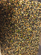 Countrywide germination seed for sale  LISBURN