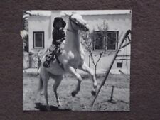 Young cowboy rearing for sale  North Grosvenordale