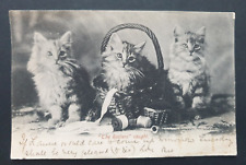 Kittens sewing basket for sale  RADLETT