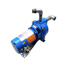 goulds jet pump for sale  Shipping to Canada