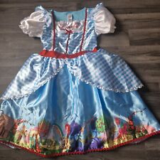 Dorothy wizard dress for sale  PAIGNTON