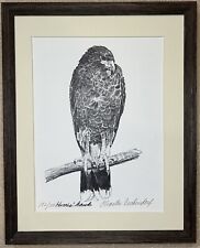 Harris hawk beckendorf for sale  Fort Lauderdale