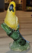 Figure parrot for sale  Benson