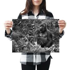 Silverback mountain gorilla for sale  SELBY
