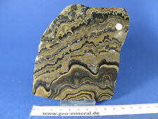 Stromatolithen bolivien geschl gebraucht kaufen  Oberursel (Taunus)