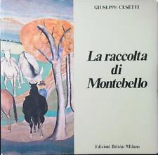 Raccolta montebello cesetti usato  Italia