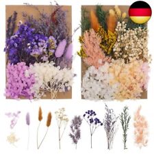 Altcompluser trockenblumen zum gebraucht kaufen  Berlin