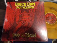 Black sun brotherhood usato  Napoli