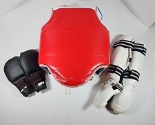 Taekwondo Karate Gear Adult Size Large Gloves Chest Pad Shin Guards and Bag for sale  Shipping to South Africa