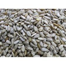Sunflower hearts seed for sale  ABBOTS LANGLEY
