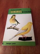 Canaries colour. blandford for sale  LEEDS