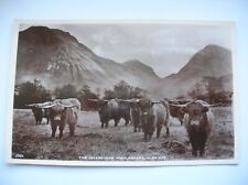 Glencoe invereggan highlanders for sale  FALKIRK