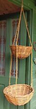 Hanging basket flower for sale  ULVERSTON