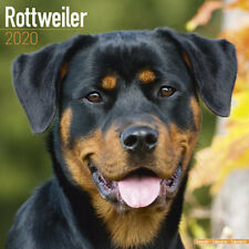 Calendrier 2020 rottweiler d'occasion  Troyes