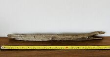 52cm long driftwood for sale  BRAINTREE